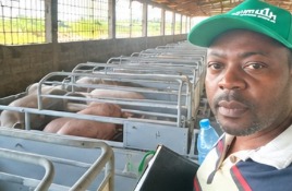 Modern piggery unit with the consultant