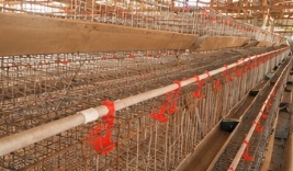 Poultry equipment installed in a house